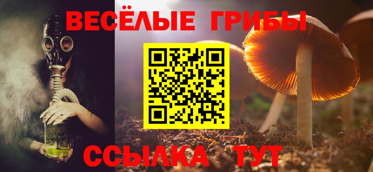 Псилоцибиновые грибы MAGIC MUSHROOMS  Вход с VPN  Красногорск 